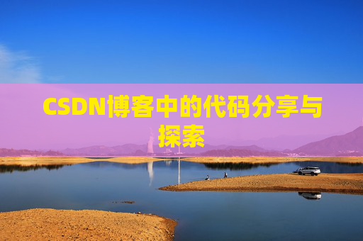 CSDN博客中的代码分享与探索